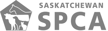 Saskatchewan SPCA