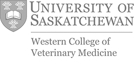 Western College of Veterinary Medicine